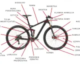 Schemat budowy roweru górskiego z oznaczeniami: rama, siodełko, widelec, hamulce, przerzutki, koła i inne części.