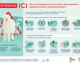 Attention, zone de chiens de protection ! Mon chien a fait tomber une personne, mais il protège le troupeau. Respectez les règles.
