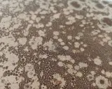 Texture craquelée marron et beige, rappelant un point blanc chocolat, avec des motifs aléatoires et des petites bulles.