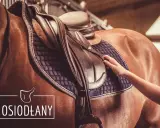 Dłoń dopasowuje siodło na koniu. Profesjonalny saddle fitter dba o komfort zwierzęcia.