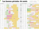 Quand semer les navets : ce tableau indique les semis en place d'avril à juin et la récolte d'août à octobre.