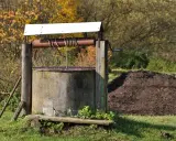 Stary, betonowy krąg studni kręgowej, z drewnianą konstrukcją i metalową korbą, otoczony jesienną zielenią.