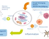 Vitamin D beeinflusst Immunzellen. Ein Mangel kann zu Entzündungen und Atemnot führen, da Reparaturmechanismen gestört sind.