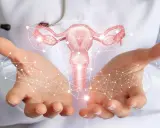 Mani di medico sorreggono utero stilizzato, connettività digitale. Informazioni sui tumore utero sintomi.