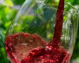 Roter Wein, was ist Pinot Noir? Ein Glas wird mit tiefrotem Wein gefüllt, der im Sonnenlicht glänzt. Grüne Weinblätter im Hintergrund.