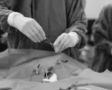 Mani guantate preparano una siringa per la picc chemio, un momento delicato di cura.
