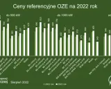 Aukcje OZE: Jak zapewnić stabilność inwestycji na 15 lat?