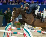 Reiter und Pferd im Sprung über ein Hindernis. Die Haltung des Reiters, die Anspannung des Pferdes und die elektrischen Sporen deuten auf einen spannenden Wettkampf hin.