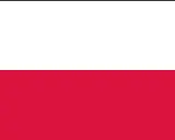 Flaga Polski do druku: biały pas na górze, czerwony na dole. Idealna do patriotycznych projektów.