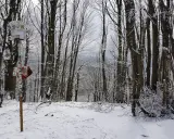 Zimowy las, szlak turystyczny i drogowskaz. W oddali widać panoramę, która przypomina **lackowa ściana płaczu**.