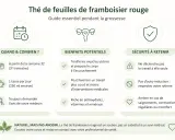Guide sur le thé de feuilles de framboisier rouge pour la grossesse : quand le boire, ses bienfaits potentiels et précautions.