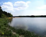 Spokojny zbiornik zielona woda, dwa łabędzie pływają, na brzegu las i plaża z ludźmi.