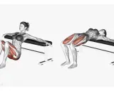 Frauen führen Hip Thrusts auf einer Bank aus, um ihre Gesäßmuskulatur zu trainieren.