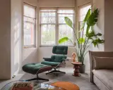 Gemütliche Ecke im **mid century style** mit einem grünen Cord-Sessel, Fußhocker, einer großen Pflanze und einem Sofa.