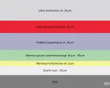 Oryginalny lakier samochodowy: bezbarwny ok. 35 µm, bazowy ok. 20 µm. Podkład 30 µm, grunt kataforetyczny 18-20 µm, fosforanowa 2 µm, ocynk 7-10 µm.
