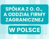 Spółka z o.o. a oddział firmy za granicą działalność w Polsce. Jasne tło z niebieskimi prostokątami.