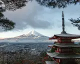 Vacker vy av Fuji med pagod i förgrunden. En påminnelse om att vaccin Japan är viktigt för resan.