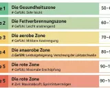 Trainingszonen: Gesundheitszone (50-60%), Fettverbrennung (60-70%), aerob (70-80%), anaerob (80-90%), rote Zone (90-100%). Vermeide cardiac drift durch angepasste Intensität.