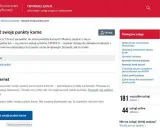 Przekroczyłeś punkty karne? Sprawdź, co grozi i jak odzyskać PJ