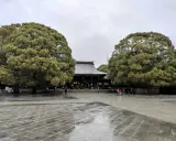 Regenzeit in Japan: Ein Tempel im Schatten großer Bäume, die nassen Steine spiegeln den grauen Himmel.