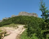 Kamienista ścieżka prowadzi pod górę, w stronę skalistego szczytu. Widać gęsty las i drewniane ogrodzenie. Zastanawiasz się, sarnia skała ile się idzie?