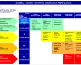 System oceny ciężkości anafilaksji: od łagodnych objawów skórnych po ciężki wstrząs anafilaktyczny z niewydolnością krążenia.