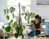 Madre e hijo riegan una planta grande. El aire acondicionado huele a humedad, pero la escena es acogedora.