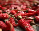 Viele rote Chilis liegen zum **chili trocknen** ausgebreitet. Ihre runzlige Oberfläche und die grünen Stiele sind gut erkennbar.