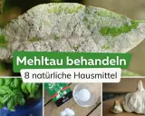 Ein Blatt mit Mehltau, daneben Basilikum, Salz und Knoblauch. Essig gegen Mehltau ist ein Hausmittel.