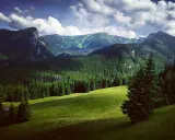 Tatry widziane z Zakopanego: zielone hale, gęste lasy świerkowe i skaliste szczyty pod chmurami.