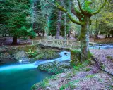 Puente de madera sobre río turquesa, ideal para rutas con niños en Cantabria. Bosque frondoso y cascada.