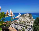 Fiori bianchi in primo piano con vista su Tropea e dintorni: il Santuario, la spiaggia affollata e il mare blu.