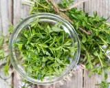 Świeży tymianek w szklanej miseczce, gotowy do użycia. Gałązki z drobnymi kwiatkami podkreślają jego naturalne piękno, jakby przygotowany dla przyszłej mamy.