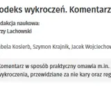 Kodeks wykroczeń: kary, grzywny, areszt co musisz wiedzieć?