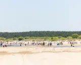 Słoneczna plaża pełna ludzi, z lasem w tle. To idealne miejsce na wypoczynek, jak w urokliwej wsi nad morzem.