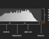 Un istogramma mostra la distribuzione dei pixel per ogni livello di luminosità, da nero (0) a bianco (255), evidenziando ombre, mezzitoni e alte luci.