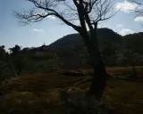 Un albero spoglio domina la scena, con il Padiglione d'Oro del Giappone sullo sfondo. HDR.