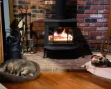 Installation poêle à bois avec deux chats endormis près du feu. Un chat tigré dort dans un panier, l'autre, tricolore, sur une couverture.