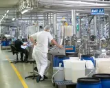 Praca w Niemczech z zakwaterowaniem: pracownicy w białych kombinezonach nadzorują produkcję w nowoczesnej fabryce.