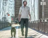John Wick 2 - Opinie i Recenzje: Brutalna Akcja i Styl Powraca
