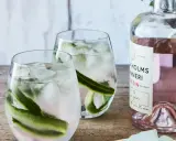 Två glas med rabarber gin & tonic, is och gurka. Bredvid står en flaska rosa gin.