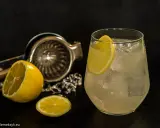 Z czym pić Jack Daniel's Honey? Odkryj proste drinki!