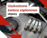 Zużyte świece zapłonowe na LPG mogą objawiać się nierówną pracą silnika. Na zdjęciu cztery świece zapłonowe.