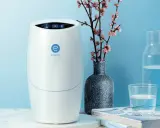Odplamiacz Amway: Gdzie kupić oryginalny SA8 Pre-Wash?
