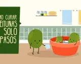 Ilustración de cómo curar aceitunas verdes en 4 pasos. Unas aceitunas animadas preparan su baño.