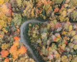 Luftaufnahme eines gewundenen Weges durch einen Wald in Nova Scotia, der im Indian Summer in leuchtenden Herbstfarben erstrahlt.