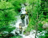 Cascada entre frondosos árboles verdes, ideal para benasque rutas sencillas. El agua desciende por rocas en un entorno natural exuberante.