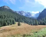 Piękna Dolina Kościeliska. Ile km do schroniska? Wspaniały widok na las i ośnieżone szczyty.
