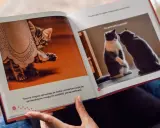 Jak wybrać najlepsze książki o autyzmie? Przewodnik dla każdego