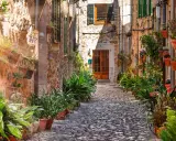 Malerische Gasse in Valldemossa, Mallorca, gesäumt von blühenden Pflanzen in Töpfen an steinernen Hauswänden.